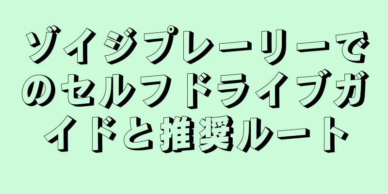ゾイジプレーリーでのセルフドライブガイドと推奨ルート