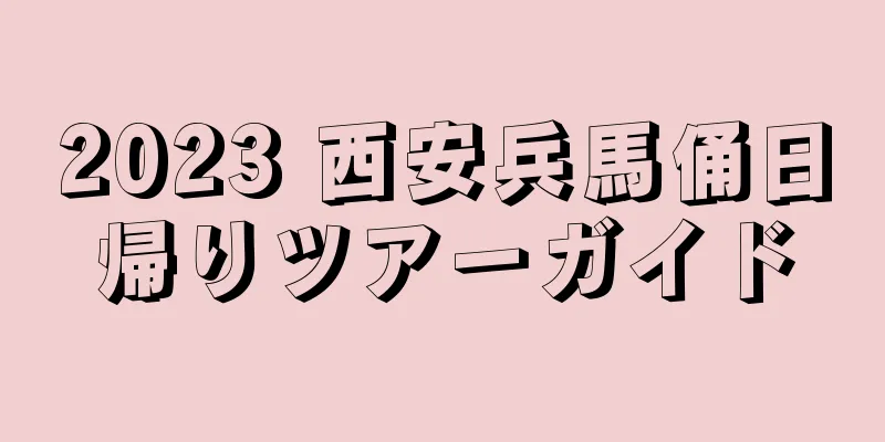 2023 西安兵馬俑日帰りツアーガイド