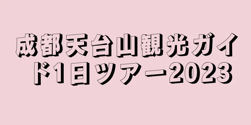 成都天台山観光ガイド1日ツアー2023