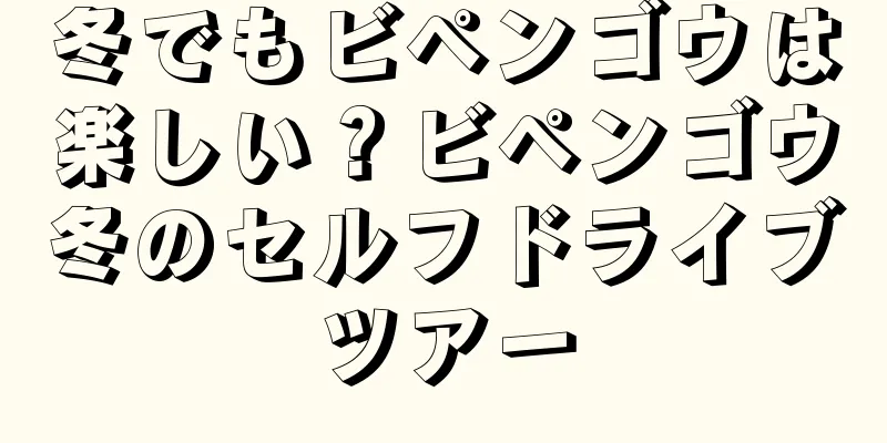 冬でもビペンゴウは楽しい？ビペンゴウ冬のセルフドライブツアー