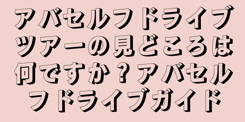 アバセルフドライブツアーの見どころは何ですか？アバセルフドライブガイド