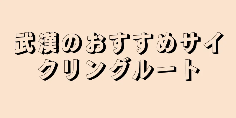 武漢のおすすめサイクリングルート