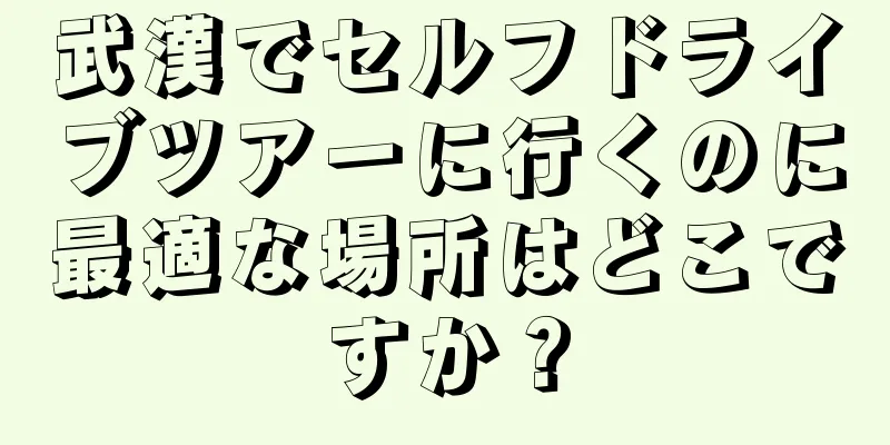 武漢でセルフドライブツアーに行くのに最適な場所はどこですか？