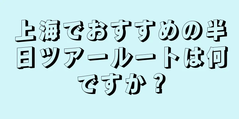 上海でおすすめの半日ツアールートは何ですか？