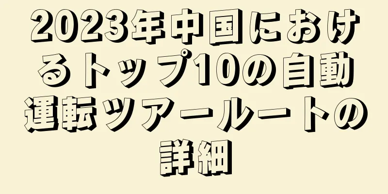 2023年中国におけるトップ10の自動運転ツアールートの詳細