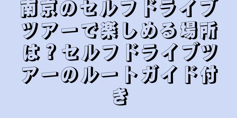 南京のセルフドライブツアーで楽しめる場所は？セルフドライブツアーのルートガイド付き