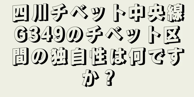 四川チベット中央線G349のチベット区間の独自性は何ですか？