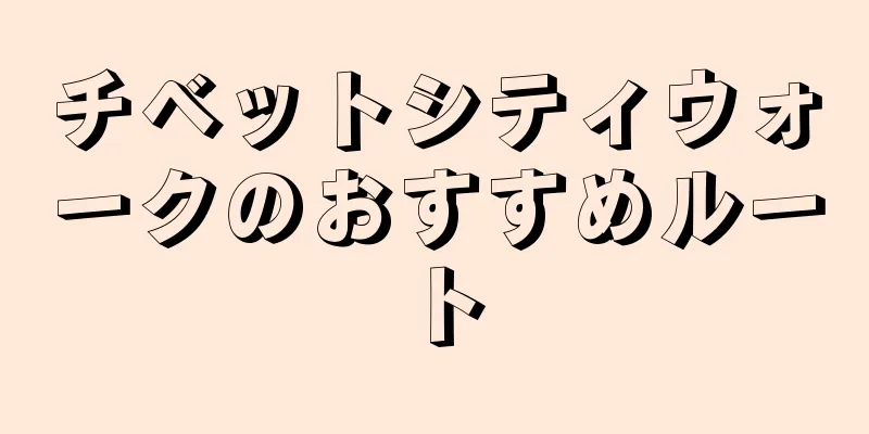 チベットシティウォークのおすすめルート