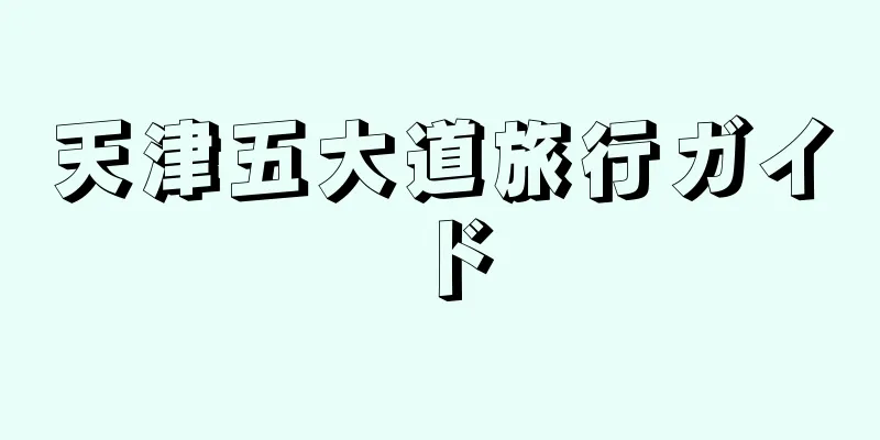 天津五大道旅行ガイド