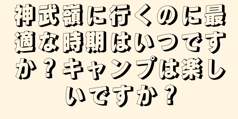 神武嶺に行くのに最適な時期はいつですか？キャンプは楽しいですか？