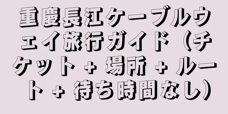 重慶長江ケーブルウェイ旅行ガイド（チケット + 場所 + ルート + 待ち時間なし）