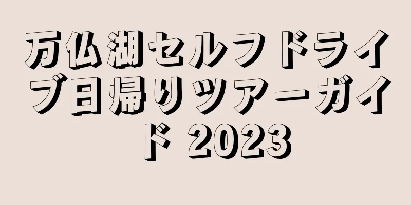 万仏湖セルフドライブ日帰りツアーガイド 2023