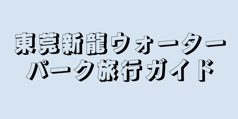 東莞新龍ウォーターパーク旅行ガイド