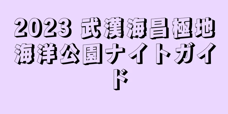 2023 武漢海昌極地海洋公園ナイトガイド