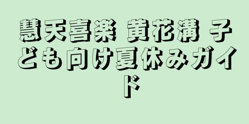 慧天喜楽 黄花溝 子ども向け夏休みガイド