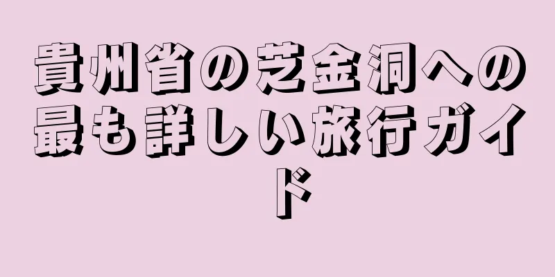 貴州省の芝金洞への最も詳しい旅行ガイド