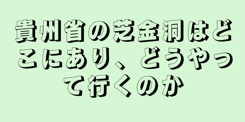 貴州省の芝金洞はどこにあり、どうやって行くのか