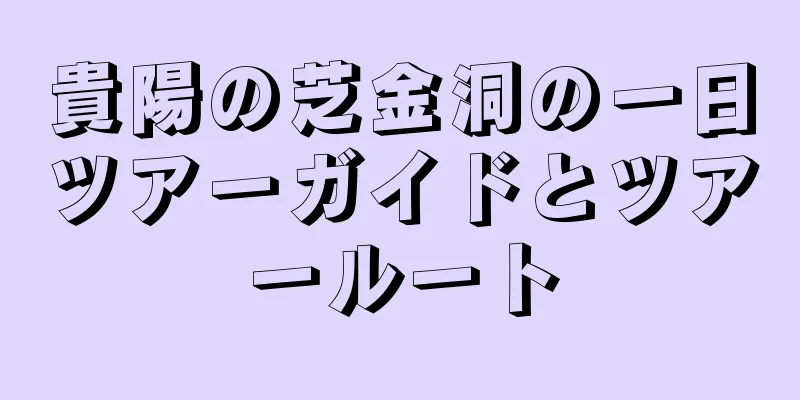 貴陽の芝金洞の一日ツアーガイドとツアールート