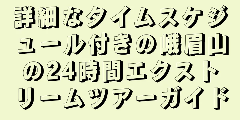 詳細なタイムスケジュール付きの峨眉山の24時間エクストリームツアーガイド