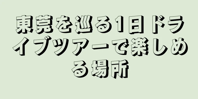 東莞を巡る1日ドライブツアーで楽しめる場所