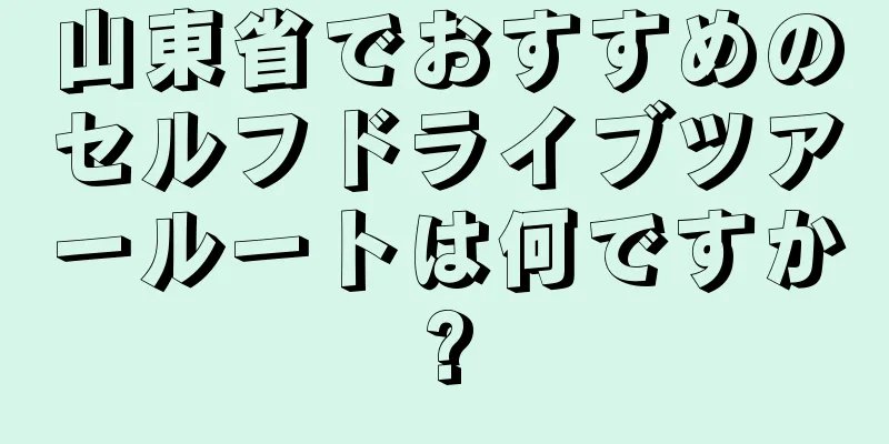山東省でおすすめのセルフドライブツアールートは何ですか?