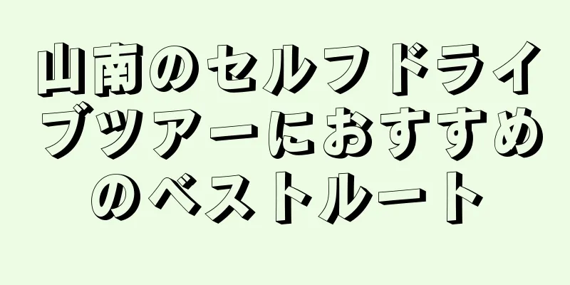 山南のセルフドライブツアーにおすすめのベストルート