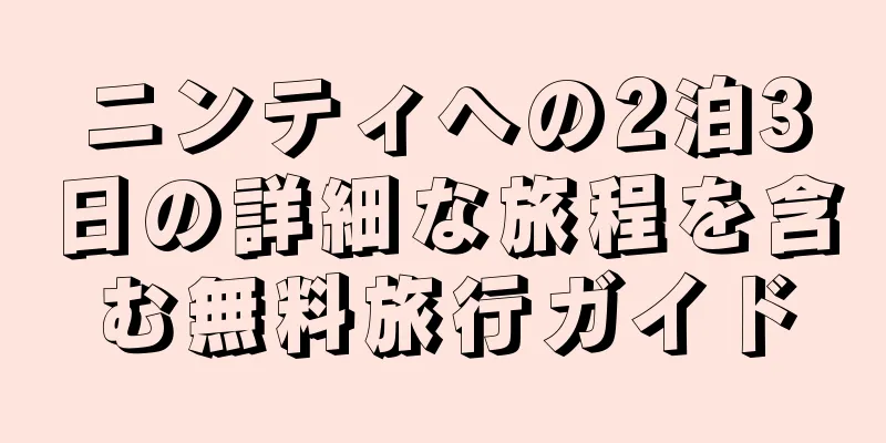 ニンティへの2泊3日の詳細な旅程を含む無料旅行ガイド