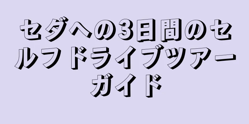 セダへの3日間のセルフドライブツアーガイド