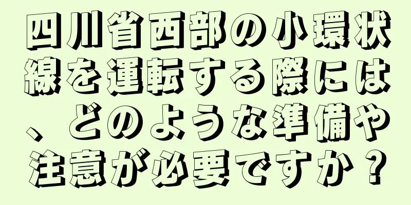 四川省西部の小環状線を運転する際には、どのような準備や注意が必要ですか？