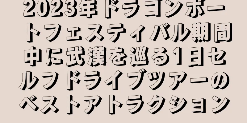 2023年ドラゴンボートフェスティバル期間中に武漢を巡る1日セルフドライブツアーのベストアトラクション