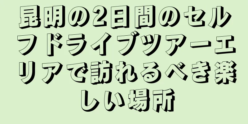 昆明の2日間のセルフドライブツアーエリアで訪れるべき楽しい場所