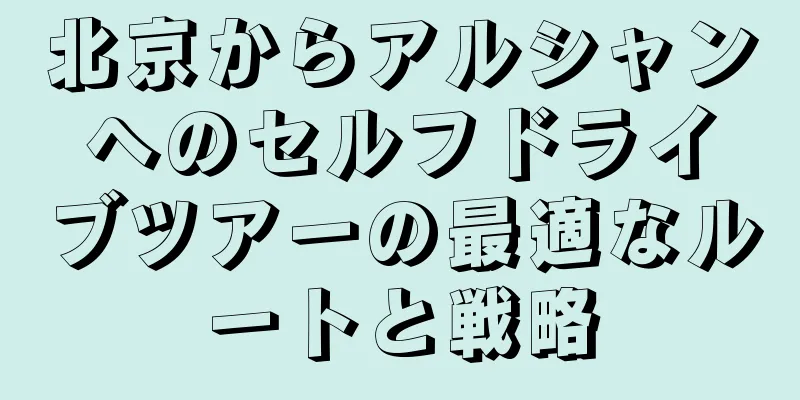 北京からアルシャンへのセルフドライブツアーの最適なルートと戦略