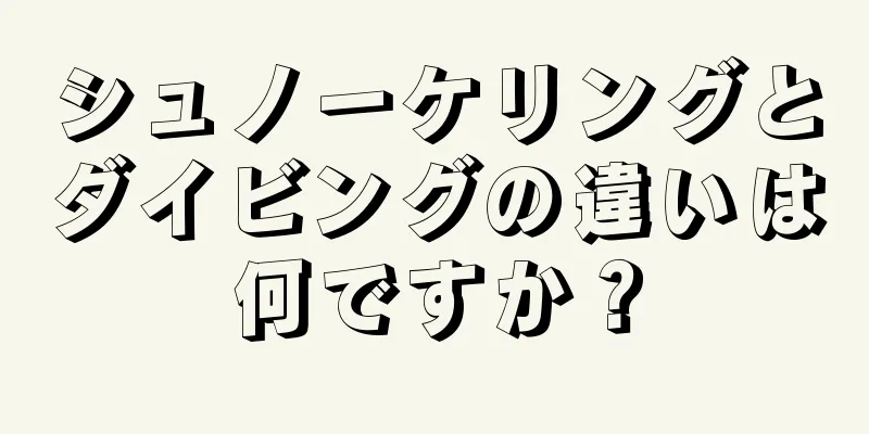 シュノーケリングとダイビングの違いは何ですか？