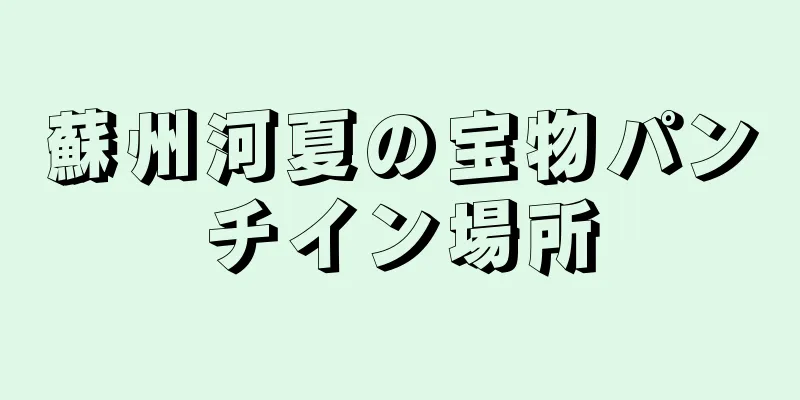 蘇州河夏の宝物パンチイン場所