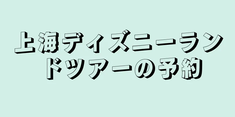 上海ディズニーランドツアーの予約