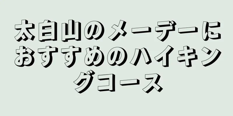 太白山のメーデーにおすすめのハイキングコース
