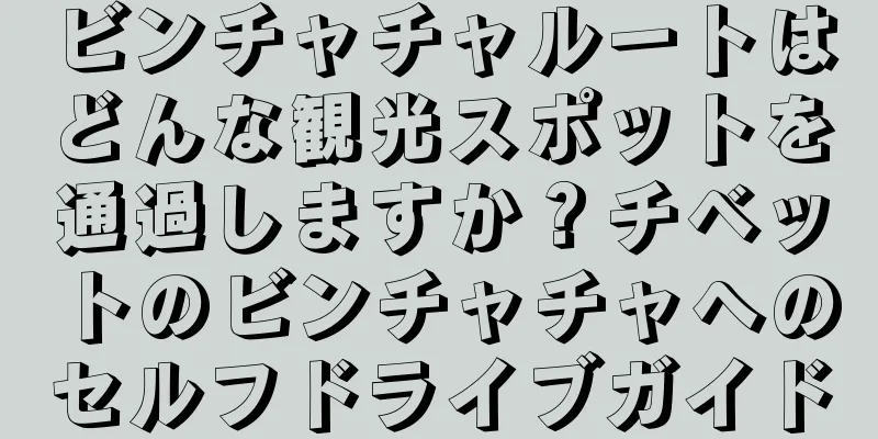ビンチャチャルートはどんな観光スポットを通過しますか？チベットのビンチャチャへのセルフドライブガイド