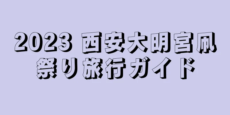 2023 西安大明宮凧祭り旅行ガイド