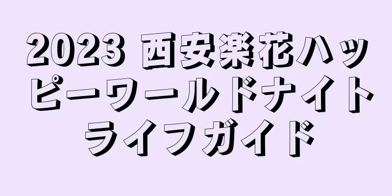 2023 西安楽花ハッピーワールドナイトライフガイド