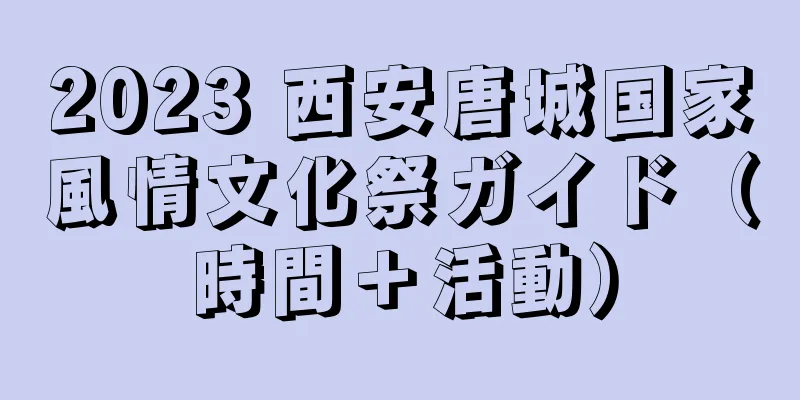 2023 西安唐城国家風情文化祭ガイド（時間＋活動）