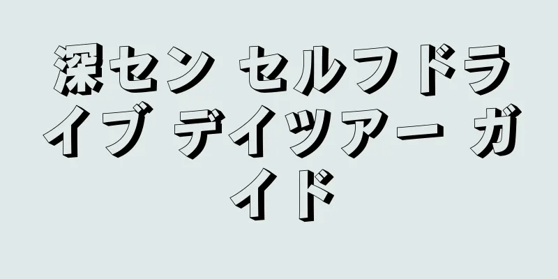 深セン セルフドライブ デイツアー ガイド