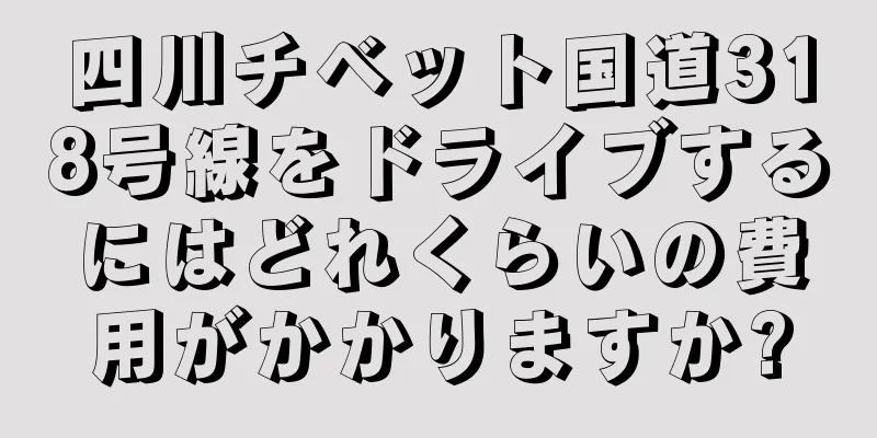 四川チベット国道318号線をドライブするにはどれくらいの費用がかかりますか?