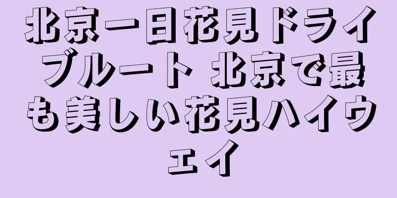 北京一日花見ドライブルート 北京で最も美しい花見ハイウェイ