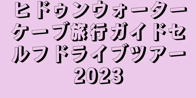 ヒドゥンウォーターケーブ旅行ガイドセルフドライブツアー2023