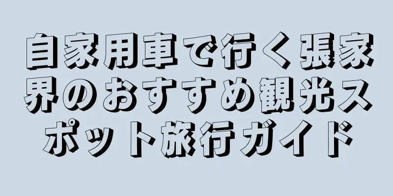 自家用車で行く張家界のおすすめ観光スポット旅行ガイド