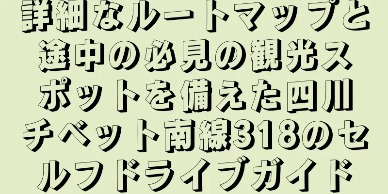 詳細なルートマップと途中の必見の観光スポットを備えた四川チベット南線318のセルフドライブガイド