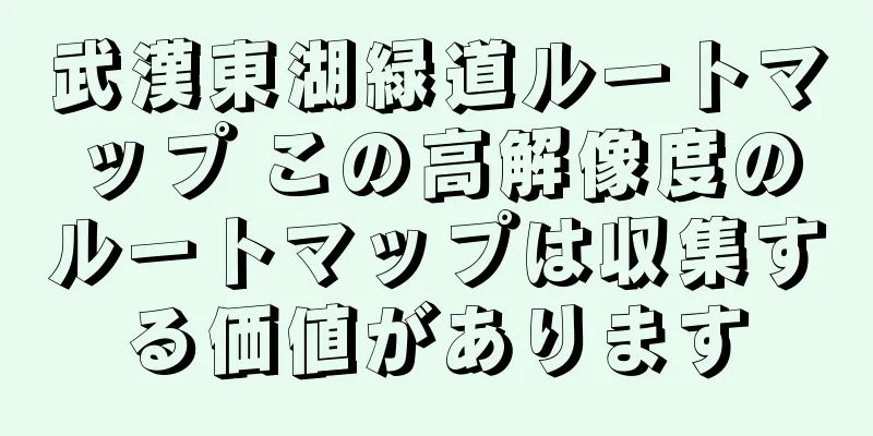 武漢東湖緑道ルートマップ この高解像度のルートマップは収集する価値があります