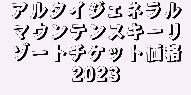 アルタイジェネラルマウンテンスキーリゾートチケット価格2023