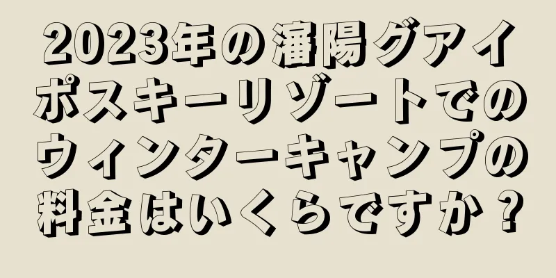 2023年の瀋陽グアイポスキーリゾートでのウィンターキャンプの料金はいくらですか？