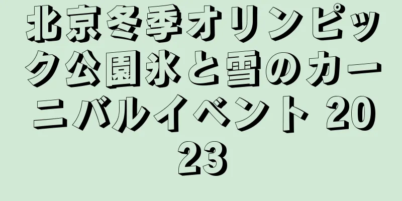 北京冬季オリンピック公園氷と雪のカーニバルイベント 2023